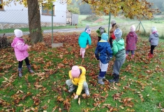 310639533_486895979852049_8025815780843129072_n