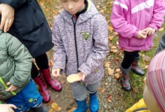 311879821_1259542031279742_1754577253896467889_n