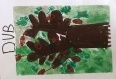 14445_detail