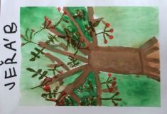 14447_detail