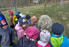 IMG_20240326_105630
