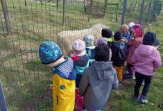 IMG_20240326_105638