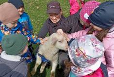 IMG_20240326_105911