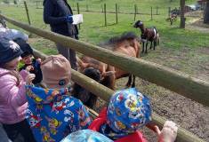 IMG_20240326_110552