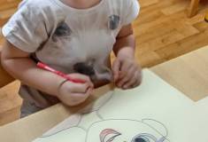 IMG_20251020_082228