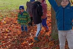 IMG_20251020_102431