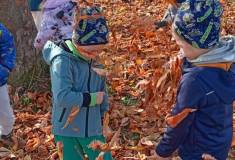 IMG_20251020_102836
