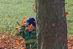 IMG_20251020_103106_edit_414757575566566