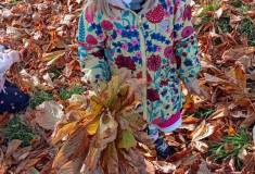 IMG_20251020_103125