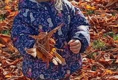 IMG_20251020_103211