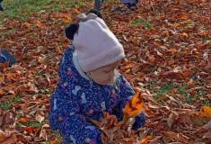 IMG_20251020_103501