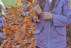 IMG_20251020_103542