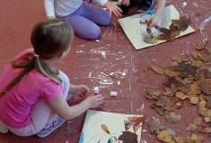 IMG_20251021_084219