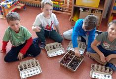 IMG_20251021_094159