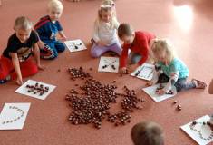 IMG_20251021_094257