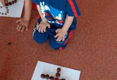 IMG_20251021_094423