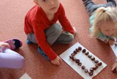 IMG_20251021_094436