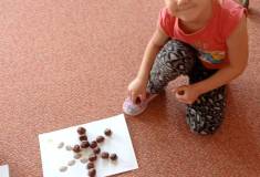IMG_20251021_094449