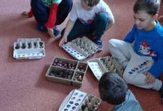 IMG_20251021_094542