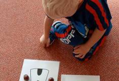 IMG_20251021_095424