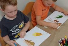 IMG_20251022_095844