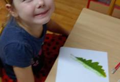 IMG_20251022_095910