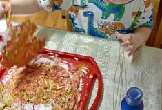 IMG_20251023_083045