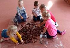 IMG_20251023_094247