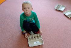 IMG_20251023_094822