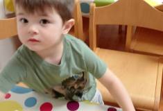 IMG_20260205_103516