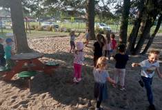 IMG_20231003_160707