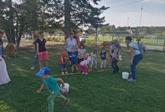 IMG_20231003_161202