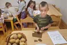 IMG_20231003_075402