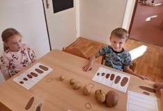 IMG_20231005_094355
