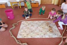 IMG_20231005_094656