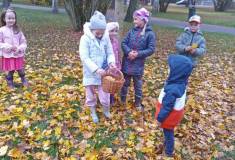 IMG_20221019_104844