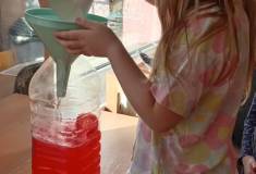 IMG_20260210_093706