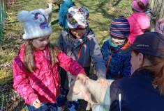IMG_20250403_105324