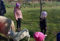 IMG_20250403_105346