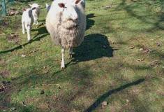 IMG_20250403_105418