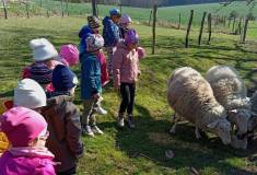 IMG_20250403_105543