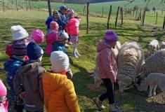 IMG_20250403_105545
