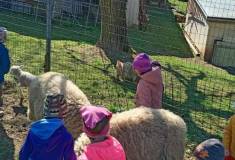 IMG_20250403_105729