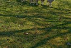 IMG_20250403_105749