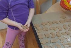 IMG_20251125_094505