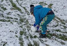 IMG_20251127_110437