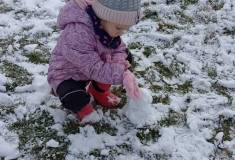 IMG_20251127_110511