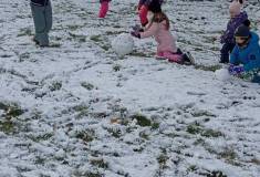 IMG_20251127_110518