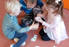 IMG_20260112_100049