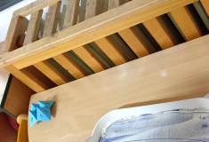IMG_20260116_073517